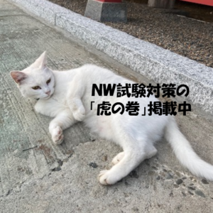 ねこ