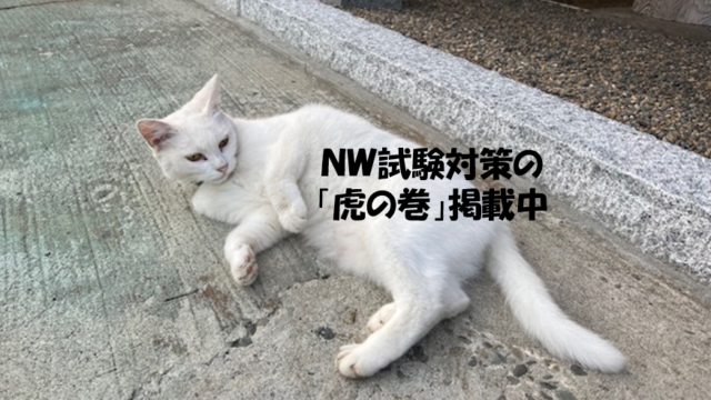 ねこ