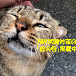 ねこ２